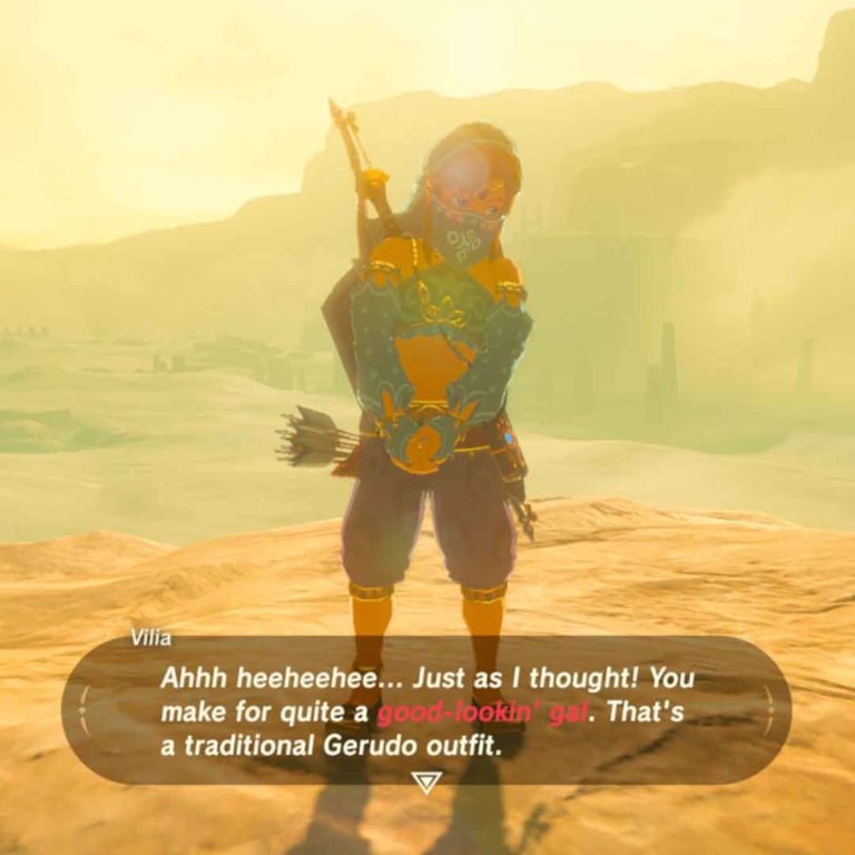 Link Gerudo Outfit (The Legend of Zelda: Breath of The Wild)